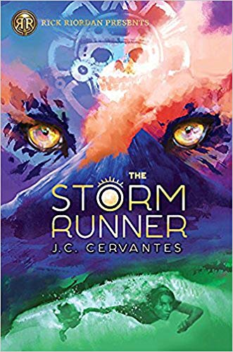 cover for book storm runner